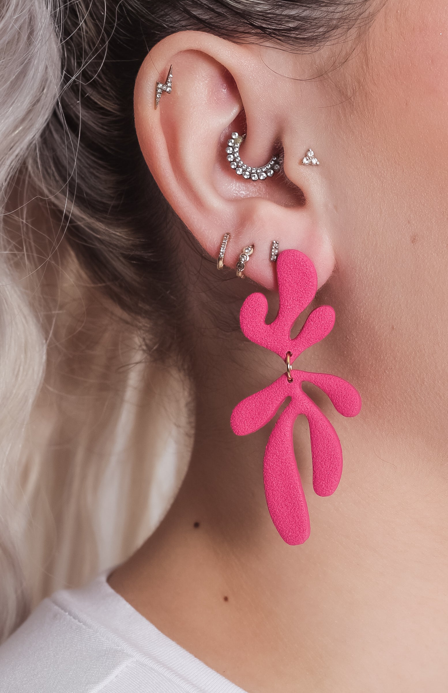 Lulu – ANHA - Main Image