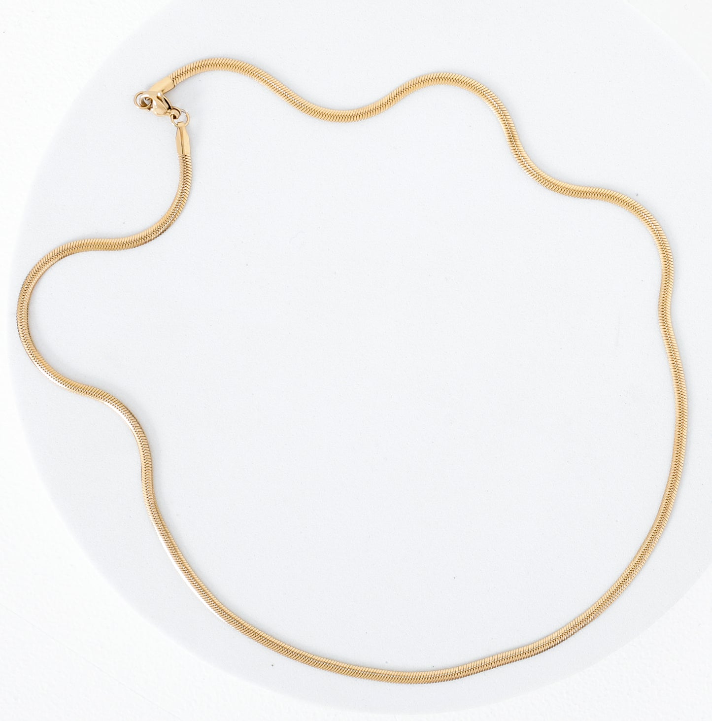 Thin Snake Chain : Gold