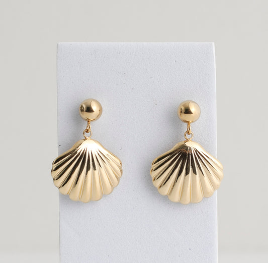 Shells