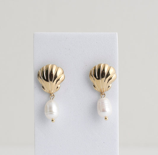 Pearl Shells